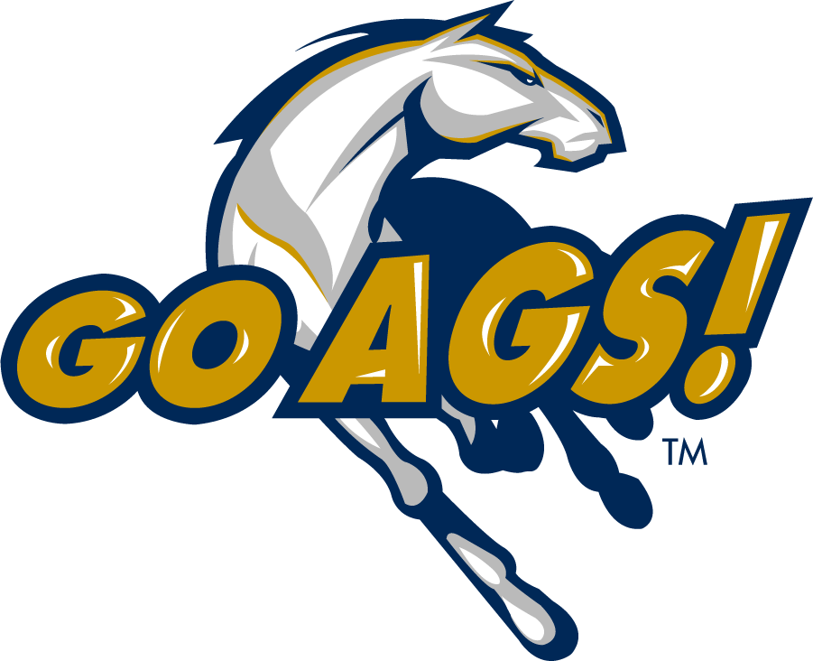 California Davis Aggies 2013-2019 Secondary Logo diy iron on heat transfer
